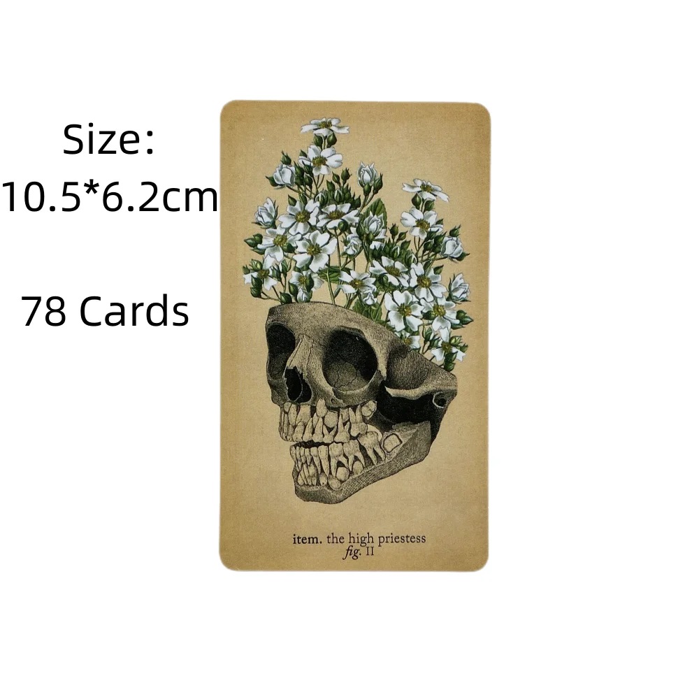 Cartes de Tarot d'anatomie Ant - Card Game Deck avis et prix