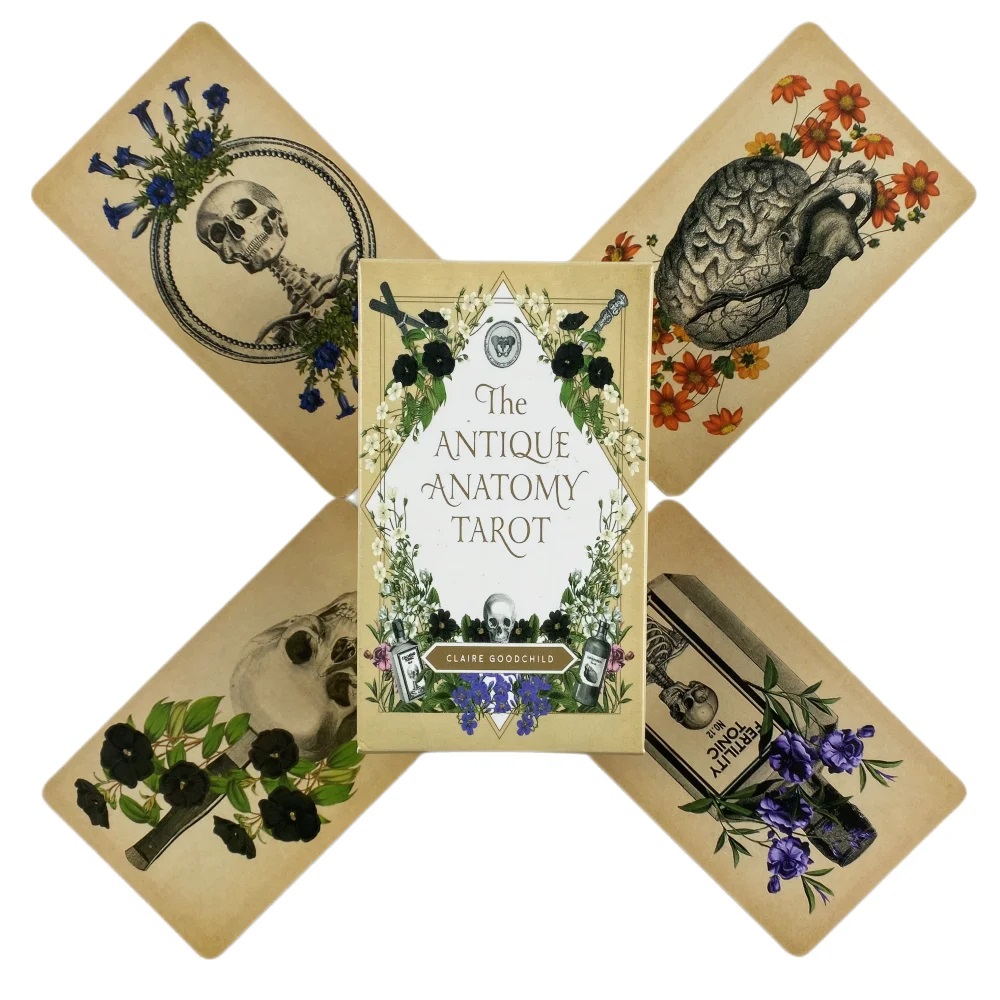 Cartes de Tarot d'anatomie Ant - Card Game Deck avis et prix